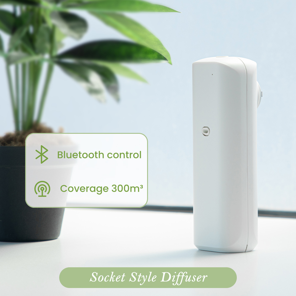NAMSTE Plug in Wall Fragrance  - Home Fragrance Plug In review and price